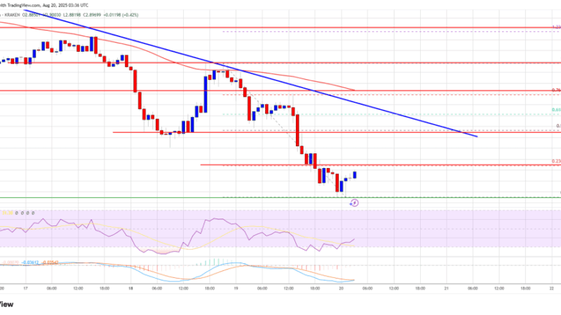 XRP Price Crashes Below $3, More Pain for Bulls?