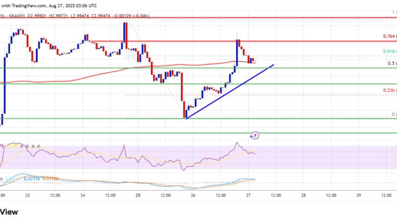 XRP Price Recovers Slightly, Can Buyers Push Past Obstacles?