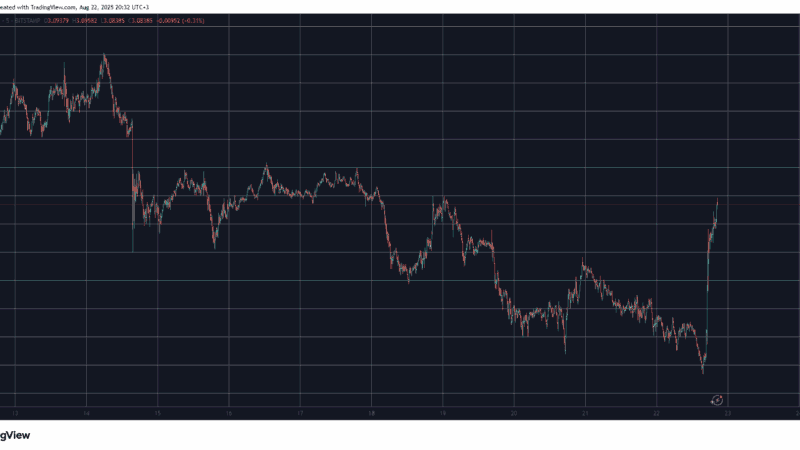 XRP Price Rockets 10% in Hours After This Vital Ripple v. SEC Lawsuit Update