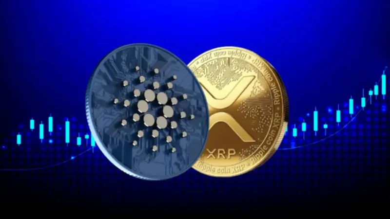 XRP vs ADA: Which Altcoin Is Better for the Long Term?
