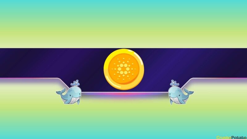 140,000,000 ADA Dumped in 2 Weeks: Is Cardano Poised for a Price Pullback?