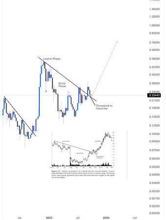 Analyst Forecasts Dogecoin Price To See Face-Melting Rally: The Bullish Pattern That Suggests New Highs