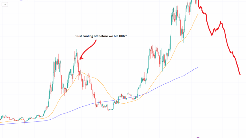 As Bull Crypto Market Heads South: What’s Next For Bitcoin in 2025?