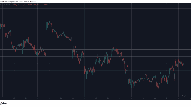 Avalanche Jumps 5% Daily as Bitcoin Price Rises to $111K: Market Watch