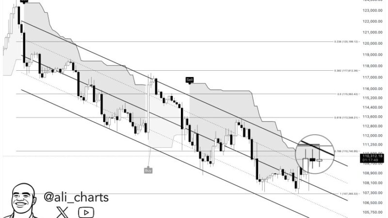 Bitcoin Attempts $111,000 Reclaim, But Last Leg Up Could Be Weeks Away – Analyst