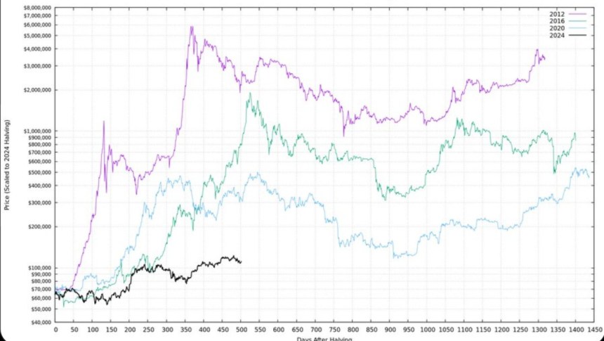 Bitcoin Bull Run Nears Its Climax: Cycle Peak Indicates 95% Completion