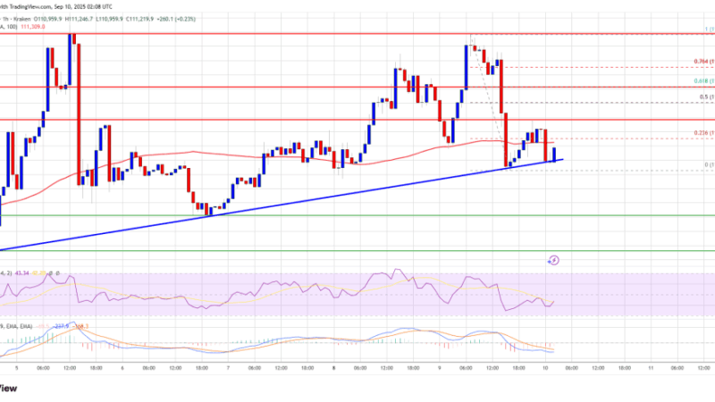 Bitcoin Bulls on Edge – Is Another Sharp Decline Coming?