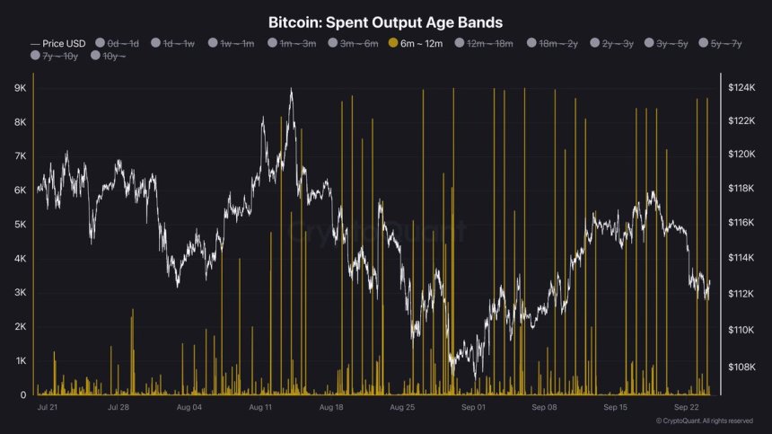 Bitcoin LTH Selling Pressure Builds: 6–12M Coins Keep Flowing Onto The Market