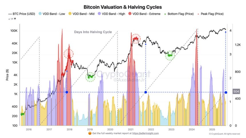 Bitcoin Market Absorbs Supply In Batches: VDD Highlights Mature Bull Phase