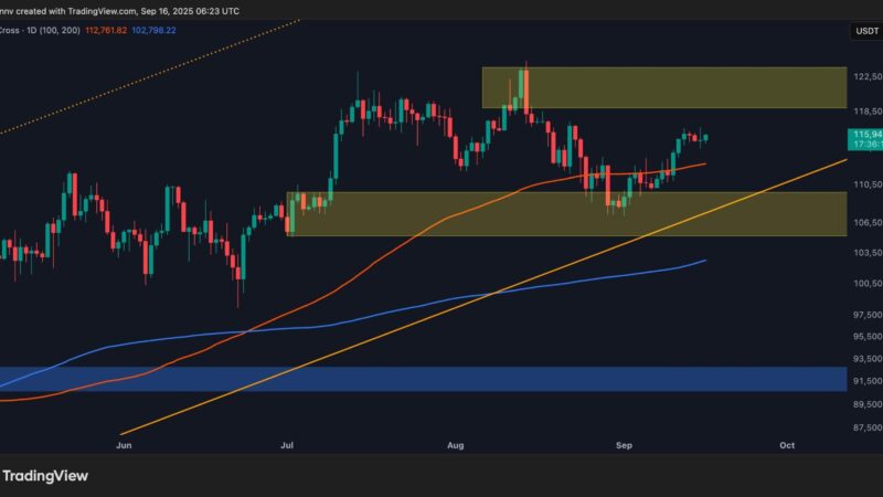 Bitcoin Price Analysis: BTC Bulls Push for a Rally as Risks Remain