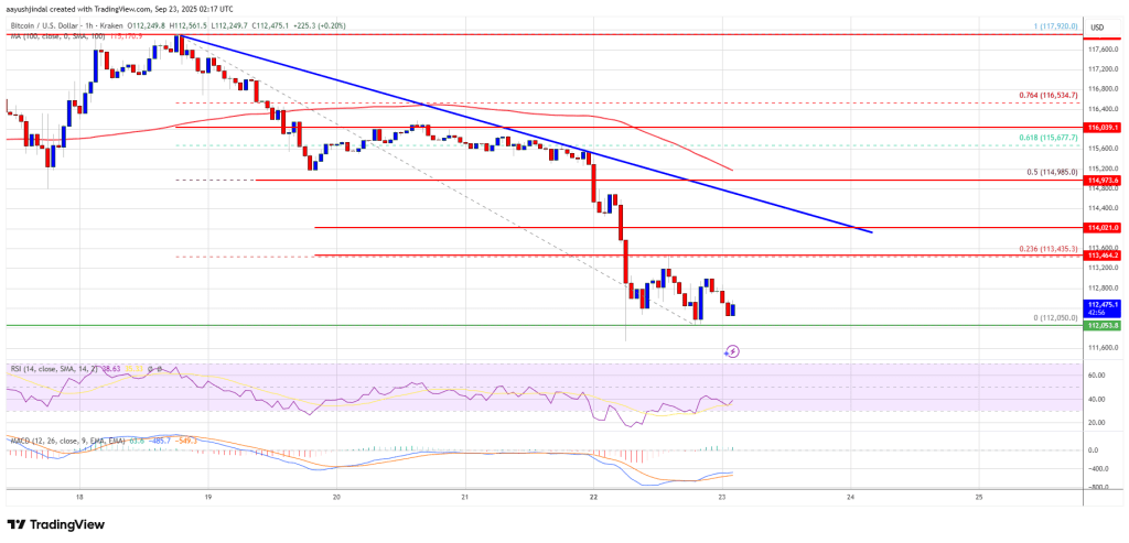 Bitcoin Price Dips Again – Could This Spark Panic Selling Across Crypto Market?