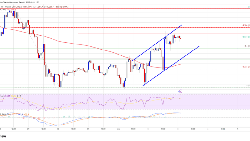 Bitcoin Price Recovery Hopes Rise – Can Bulls Push It Past Resistance?