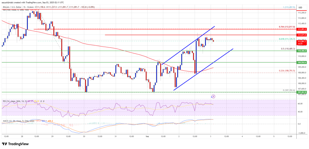 Bitcoin Price Recovery Hopes Rise – Can Bulls Push It Past Resistance?