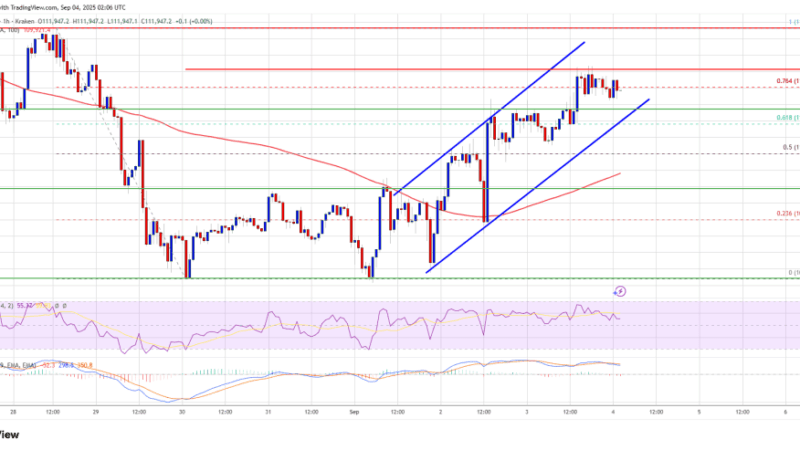 Bitcoin Price Recovery Underway – But Momentum Tells a Different Story?