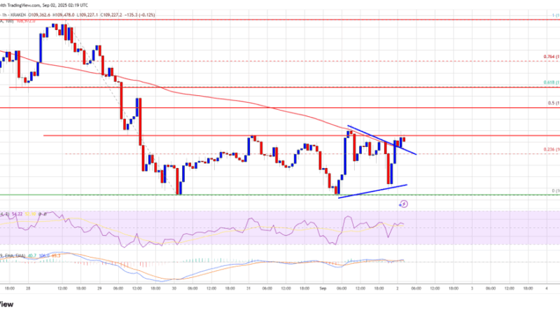 Bitcoin Price Stabilizes – Is This the Start of a Comeback?