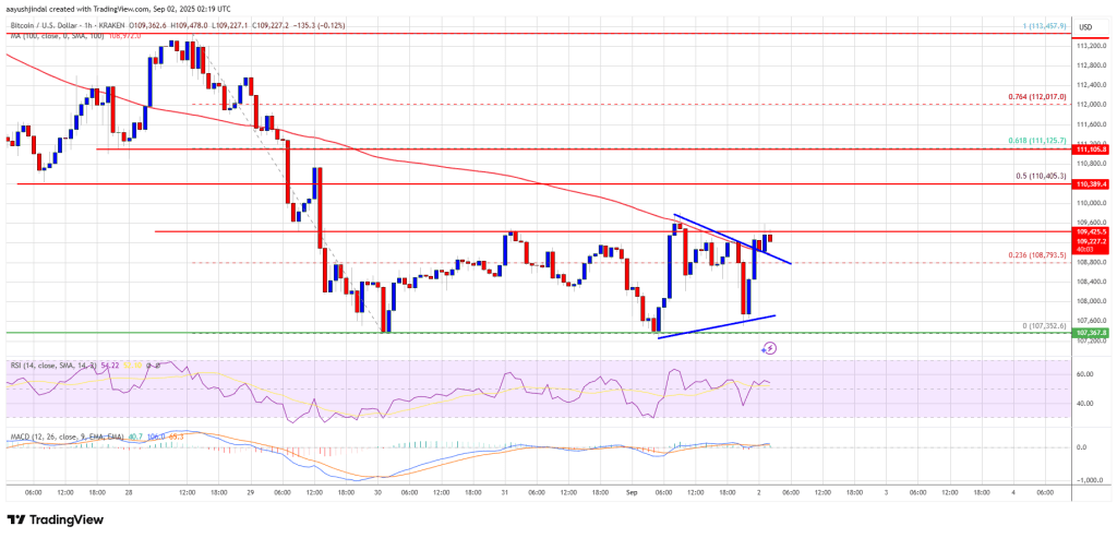 Bitcoin Price Stabilizes – Is This the Start of a Comeback?