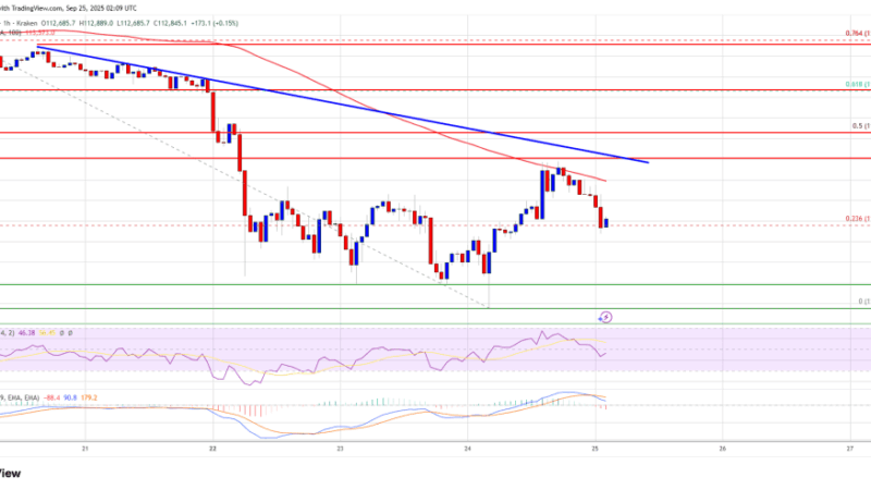 Bitcoin Price Struggles Again – Will Bears Push Price Into Deeper Decline Soon?