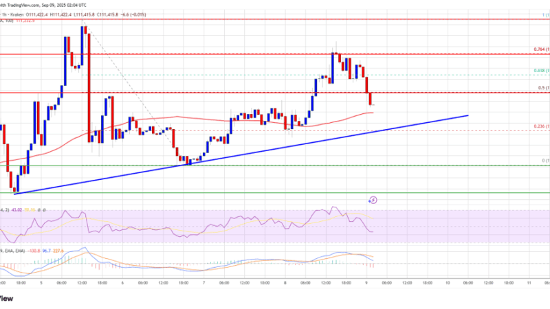 Bitcoin Price Struggles Near $113K – Will Bulls Force a Break?