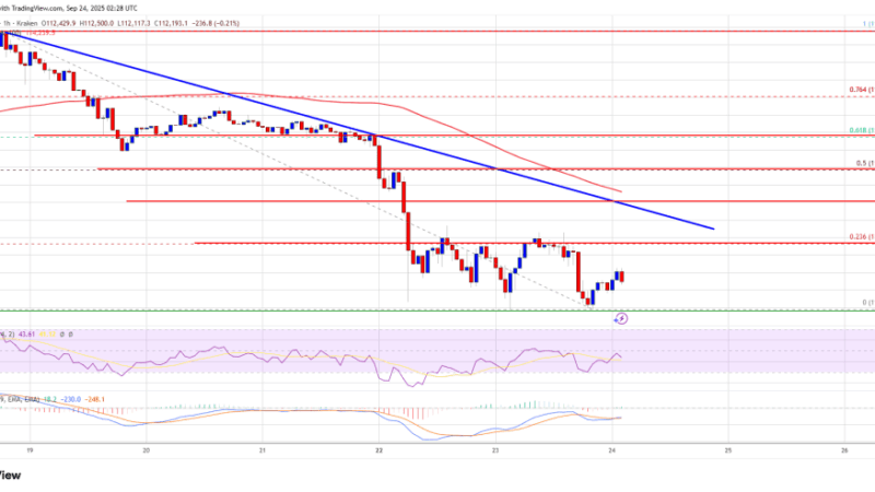 Bitcoin Price Struggles Under Resistance – Will Bulls Fail and Bears Take Control?