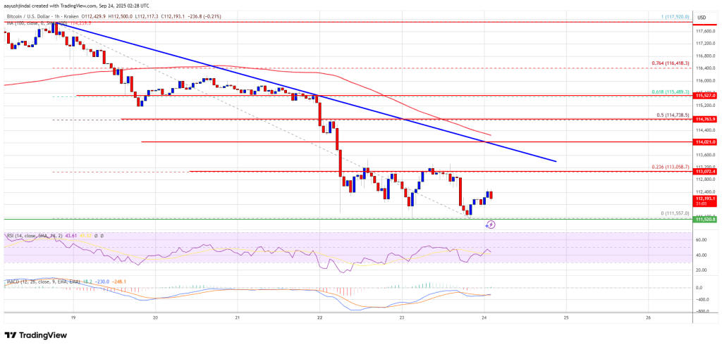 Bitcoin Price Struggles Under Resistance – Will Bulls Fail and Bears Take Control?