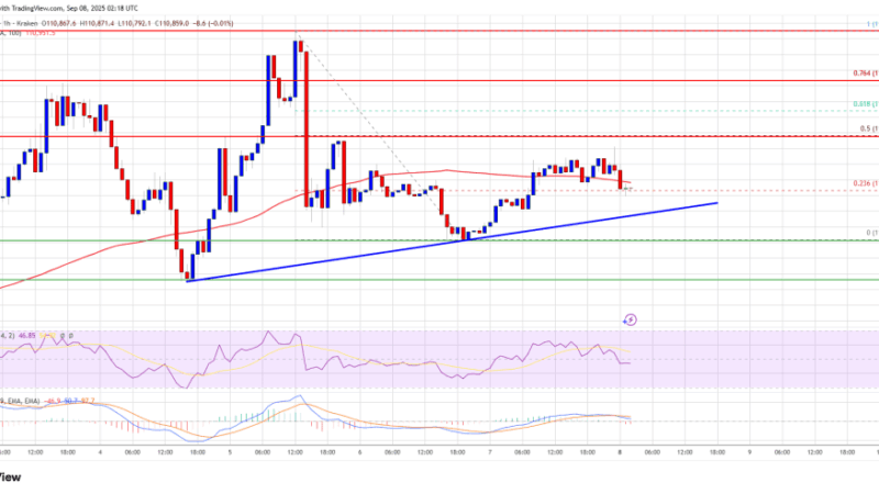 Bitcoin Price Weakens – Fresh Downside Risk If Bulls Fail Soon