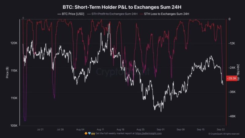 Bitcoin Short-Term Holders Capitulate: 30K BTC In Realized Losses Over 24 Hours