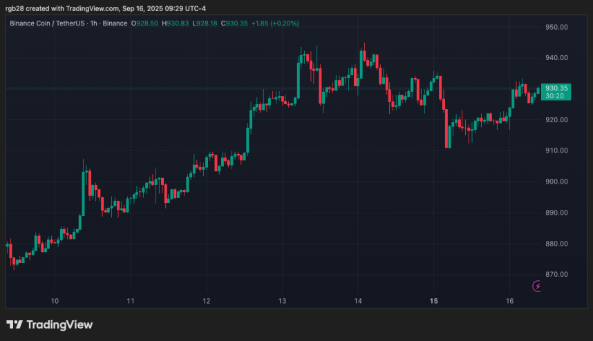 BNB Chain Projects Lead Binance Wallet With 2,000x IDO Returns
