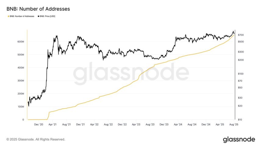 BNB Chain Surpasses 650M Unique Addresses – Binance Adoption Continues