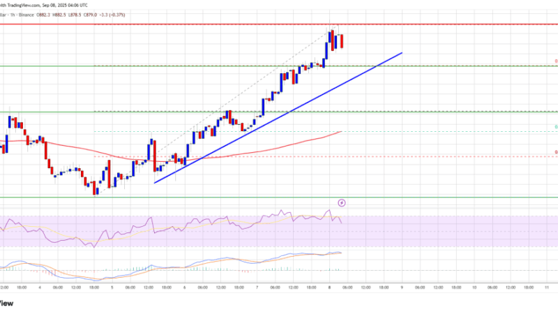 BNB Price Breakout Watch – Can Price Blast Through $900 Resistance?