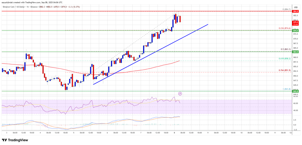BNB Price Breakout Watch – Can Price Blast Through $900 Resistance?