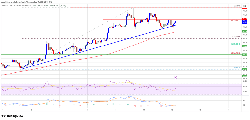 BNB Price Holds Its Uptrend – Key Levels That Could Trigger More Gains