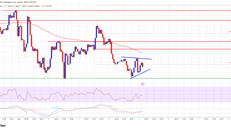 BNB Price Struggles Below $850 – Is Momentum Fading Fast?