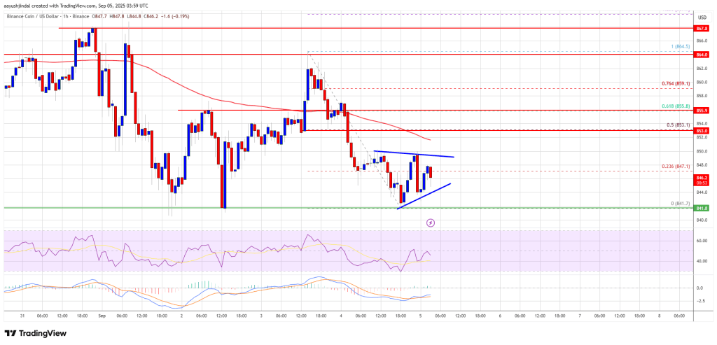 BNB Price Struggles Below $850 – Is Momentum Fading Fast?