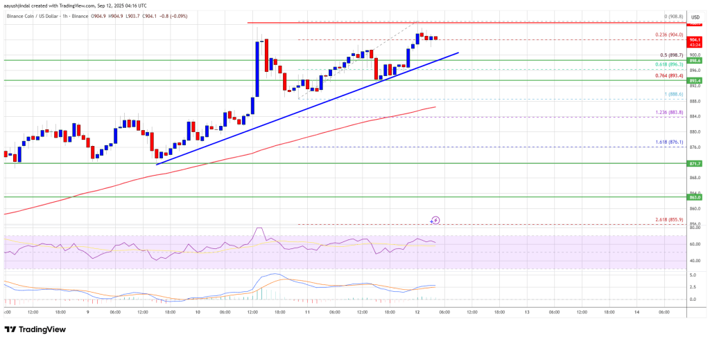 BNB Price Surges to Fresh ATH – Can Bulls Push Toward $1K?