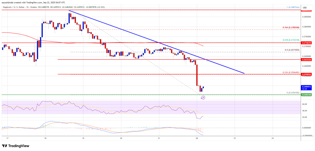 Dogecoin (DOGE) Drops Over 5% – Is This the Start of a Bigger Crash?