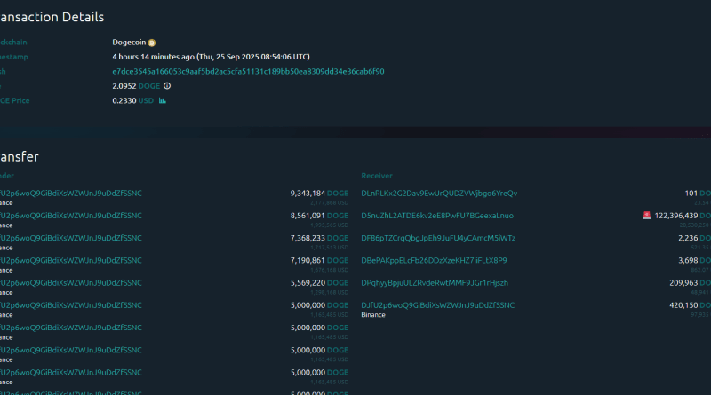 Dogecoin Down 18%, But Whale Withdraws 122 Million DOGE From Binance