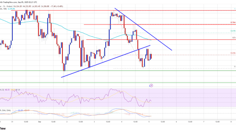 Ethereum Bulls on the Back Foot – Can Momentum Return Soon?