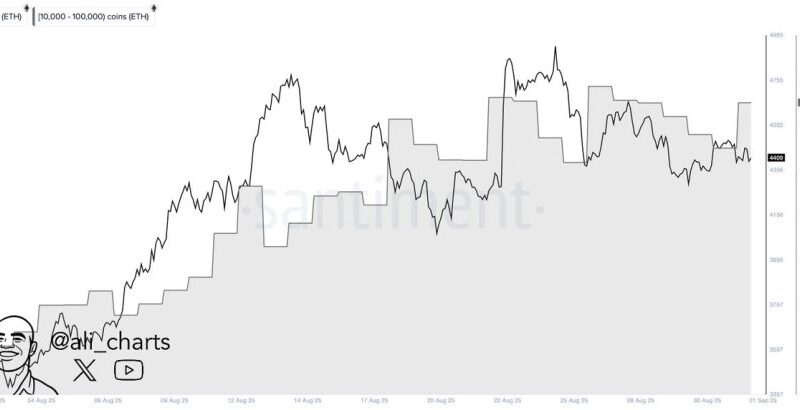 Ethereum Demand Spikes As Whales Add 260K ETH In 24 Hours