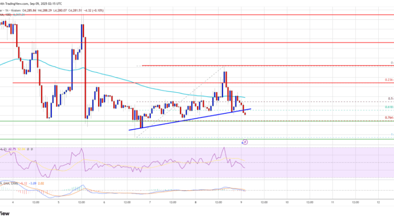 Ethereum Price Struggles Badly – More Downside Risk if Support Fails
