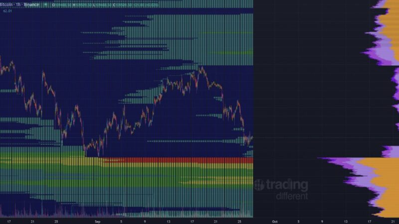 Everyone’s Wrong About XRP: Here’s Why, Says Top Analyst