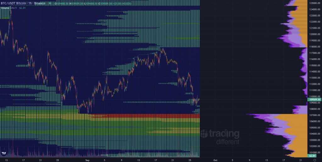 Everyone’s Wrong About XRP: Here’s Why, Says Top Analyst