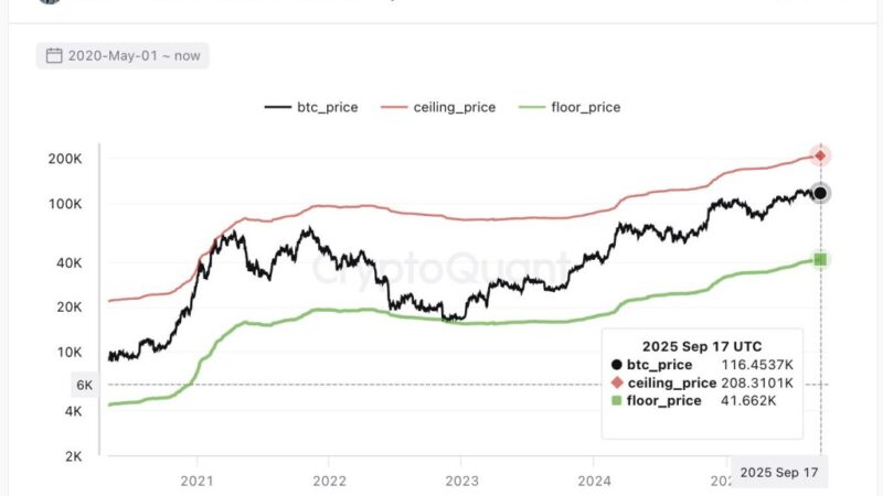 Expert Who Nailed The 2024 Bitcoin Top Issues New Call For $208,000 BTC