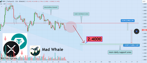 Is XRP A Meme Coin? Analyst Reveals How Whales Are Playing The Game