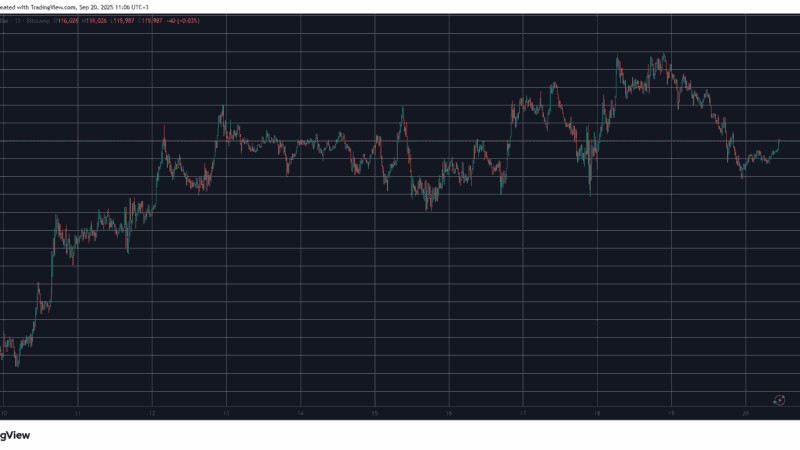 Massive Losses for These Altcoins as BTC Slips Below $116K: Weekend Watch