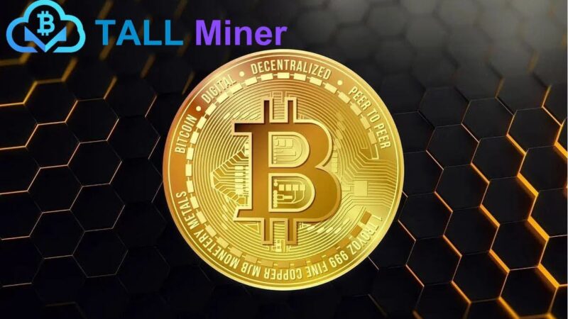 Riding the Blockchain Wave with TALL Miner