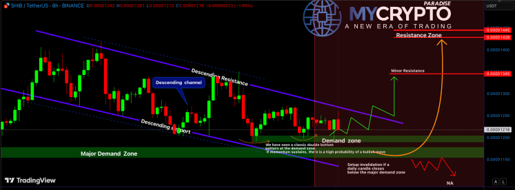 Shiba Inu Price Forms Double Bottom At Demand Zone — What To Expect