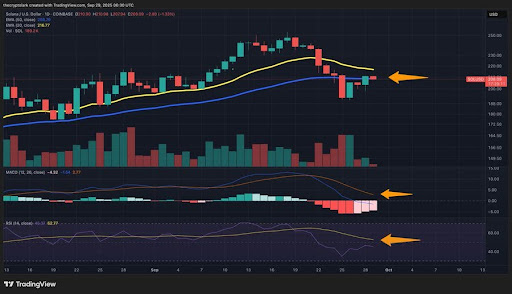 Solana At A Crossroads: This Key Indicator Holds The Key To $175 Or $220