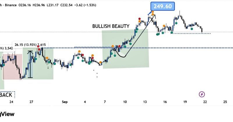 Solana Drops 7%, But This Key Support Could Spark a Rally