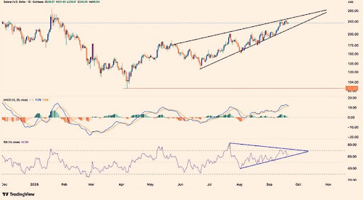 Solana Faces Deadly Selling Pressure After 312,233 SOL Deposit Into Coinbase – Here’s The Value