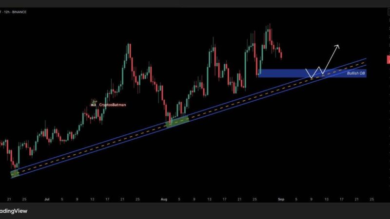 Solana Rally Ahead? This Is The Key Breakout Line to Watch